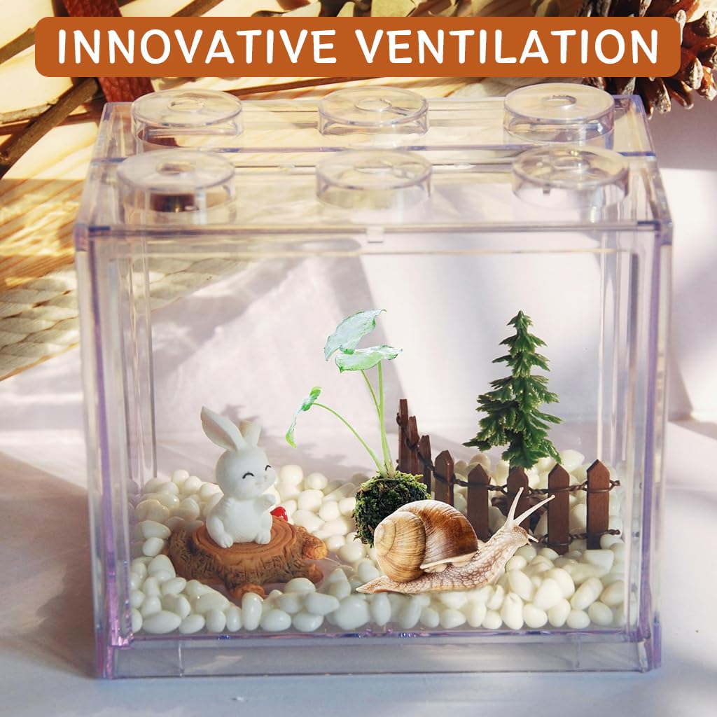 Qpets Small Betta Fish Tank, Desktop Mini Tank for Betta Fish, Stackable Mini Aquarium Tank Cube Fish Tank for Turtle Goldfish Moss Balls (12*8*10.5CM) Qpets Small Betta Fish Tank, Desktop Mini Tank for Betta Fish, Stackable Mini Aquarium Tank Cube Fish Tank for Turtle Goldfish Moss Balls (12*8*10.5CM)